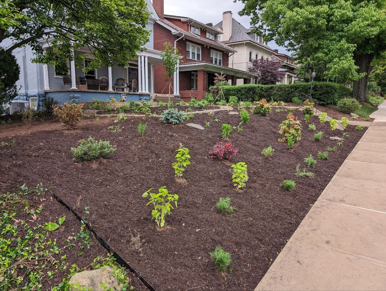 Completed perennial garden design in Squirrel Hill North, Pittsburgh