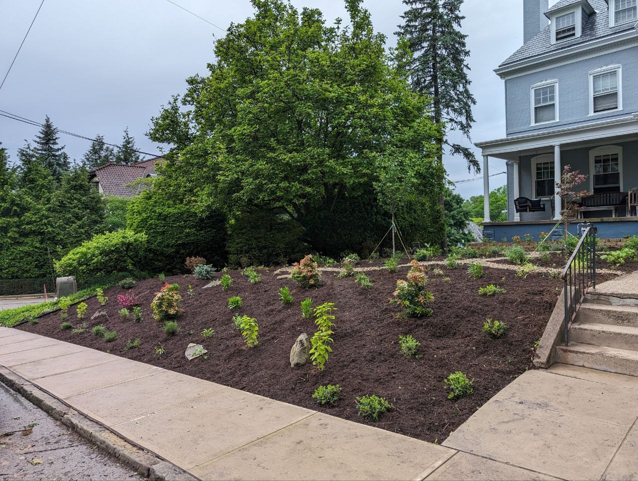 Completed perennial garden design in Squirrel Hill North, Pittsburgh